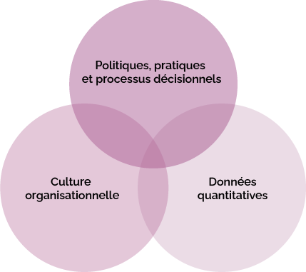 Diagramme de trois cercles interconnectés avec les catégories suivantes : en haut : « Politiques, pratiques et processus décisionnels »; en bas, à gauche : « Culture organisationnelle »; en bas, à droite « Données quantitatives ».